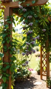 Passion Fruit Plant Trellis Garden Ideas: Climbing Solutions for Lush Growth