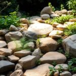 Inspiring Rock Garden Ideas for a Textured Natural Look