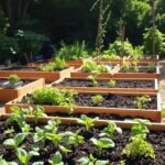 4×8 Raised Bed Garden Layout: Efficient Planting Plans for Popular Veggies