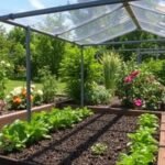 Best Ways to Use a Raised Garden Bed Cover for Weather Protection