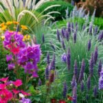 Designing Perennial Borders for Continuous Blooms in Your Garden