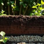 Filling a Raised Garden Bed on a Budget: Soil Mix and Layering Hacks